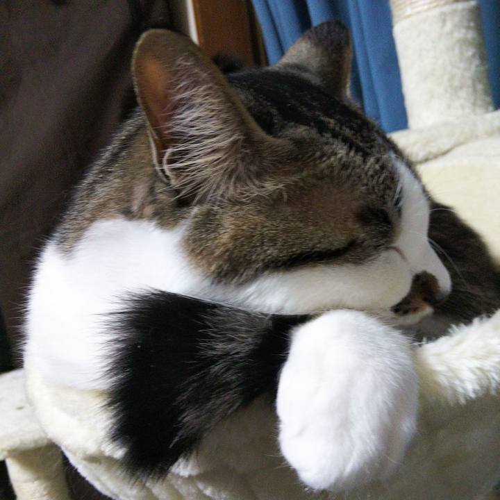 298fc671 82a9 46e8 8ce1 5ecfc7492fca 1646053376146