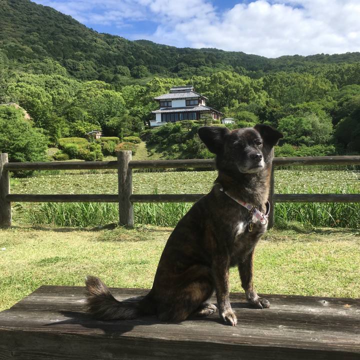 2990001d 82ca 4f53 9fc1 e1d7e611f8d1 1528960764171