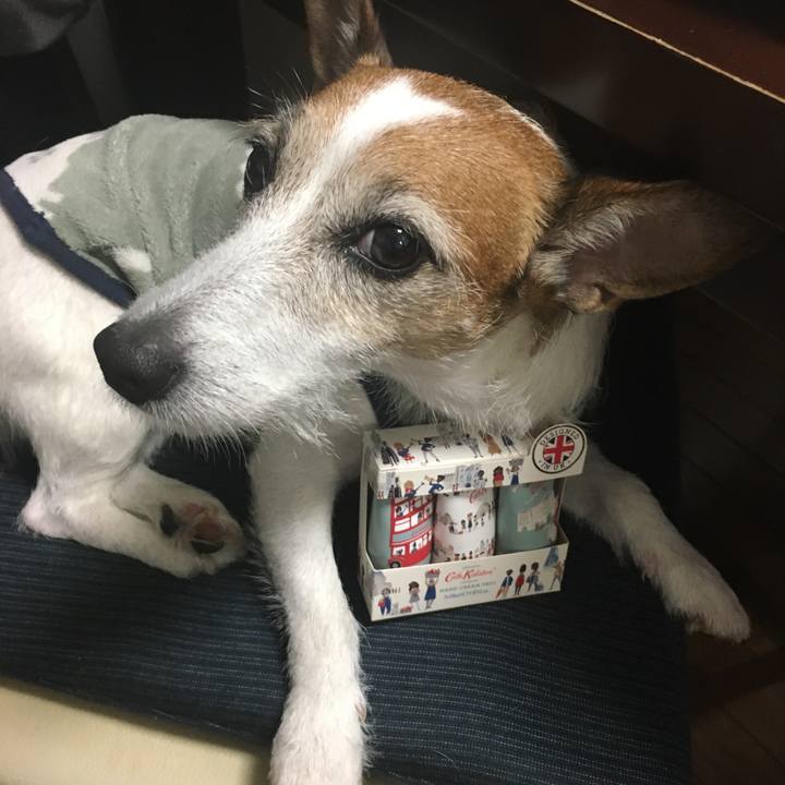 29901d4d 6c57 4efc a66b c23b3658f1f6 1635897047659