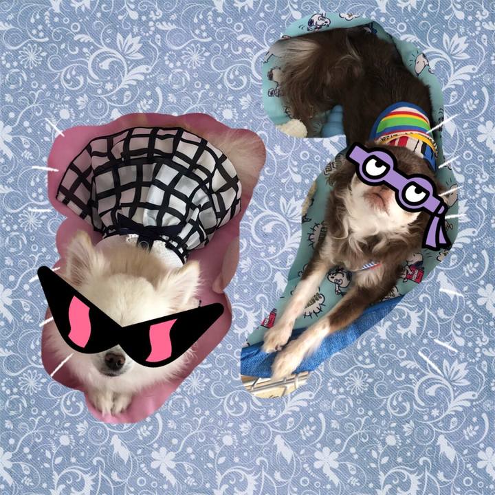 299040ae f0f7 440b 8134 32b024300793 1597805409979