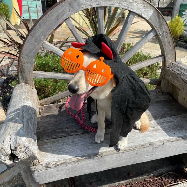 29905e98 a044 49bc 8d5b 8123ef35f02c 1635644777825