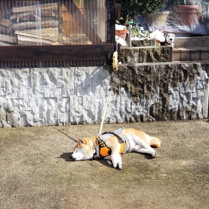 2990772d d171 4b2f b2e0 e0c18d5daea6 1645590850298