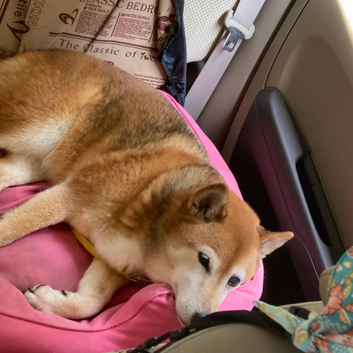 299081fc 15b3 4077 9598 1129994b17a1 1655632432271