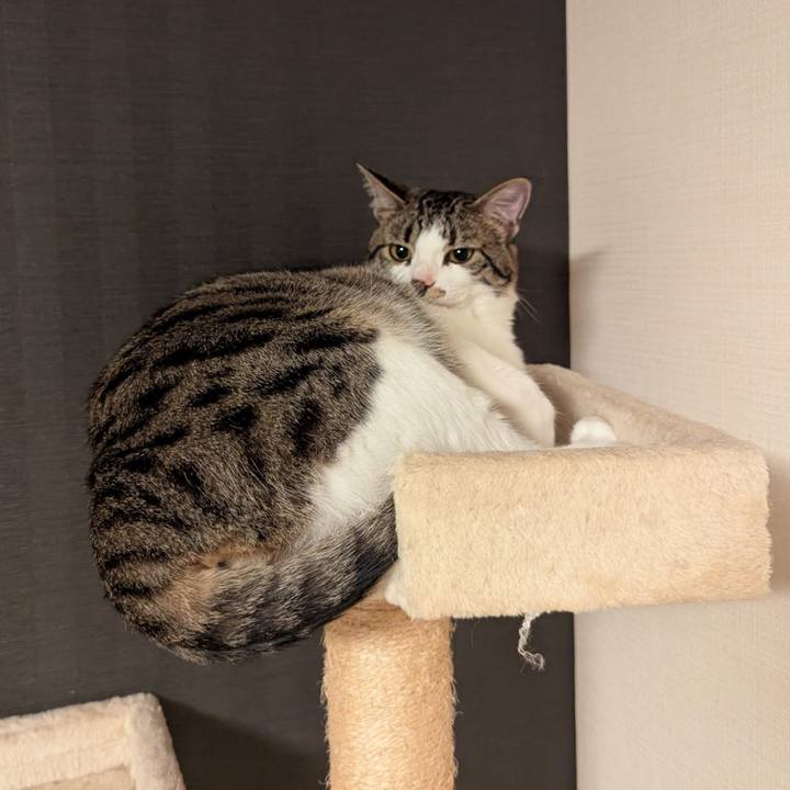 2990a753 1e04 468b b28d 831cdc1c3b0f 1748241458772