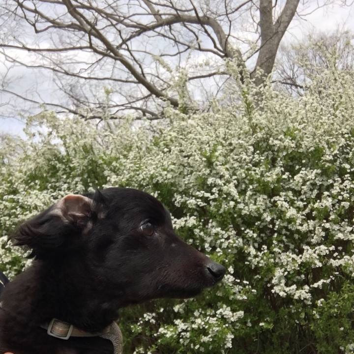 2990b86d e63e 40ba 8c5a bf30ef2a6a03 1553315774598