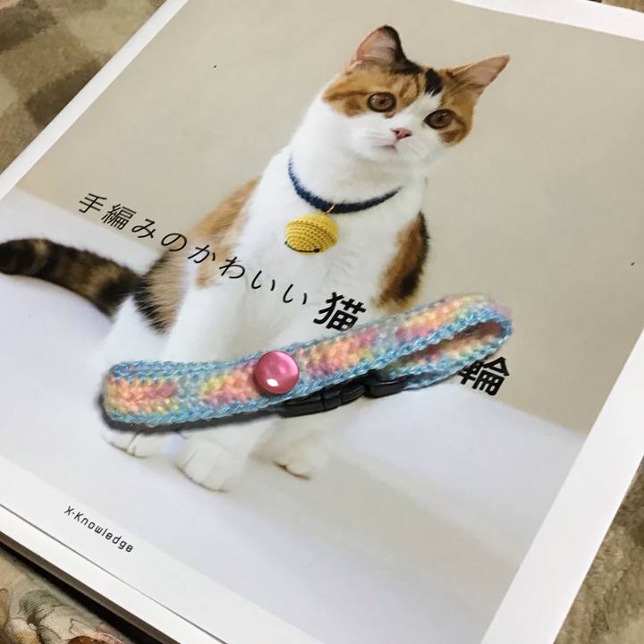 2990dc8d 0960 4a82 83e6 3db82f080b04 1579783181004