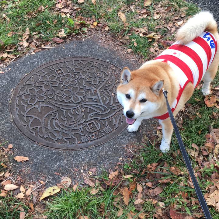 2991192c 1bfd 4a54 8748 7d68c93994c0 1573205171159