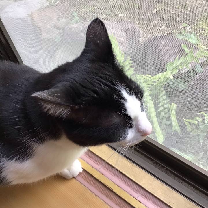 29915c48 6102 49f7 8d39 e6ecd8238e86 1715763856319