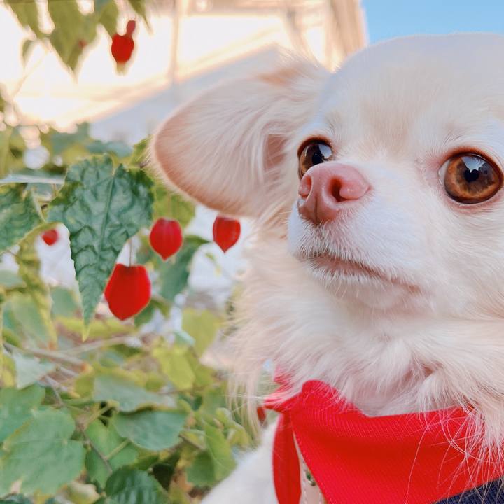 299168a1 74a4 480a 97a4 f5642706f2a0 1670485717299