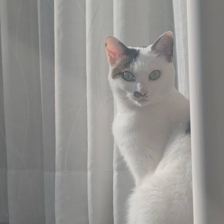 29916a29 8b26 4ae6 810b ba2d2db573c0 1766463033613