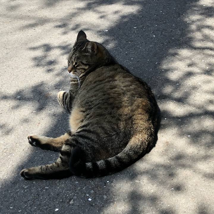 299187a0 67bc 4250 b6b3 d2bd7be332a4 1522496952155