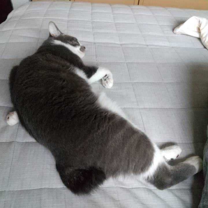 29919b44 bed3 44f0 b64e d0e0928126b2 1623580906751