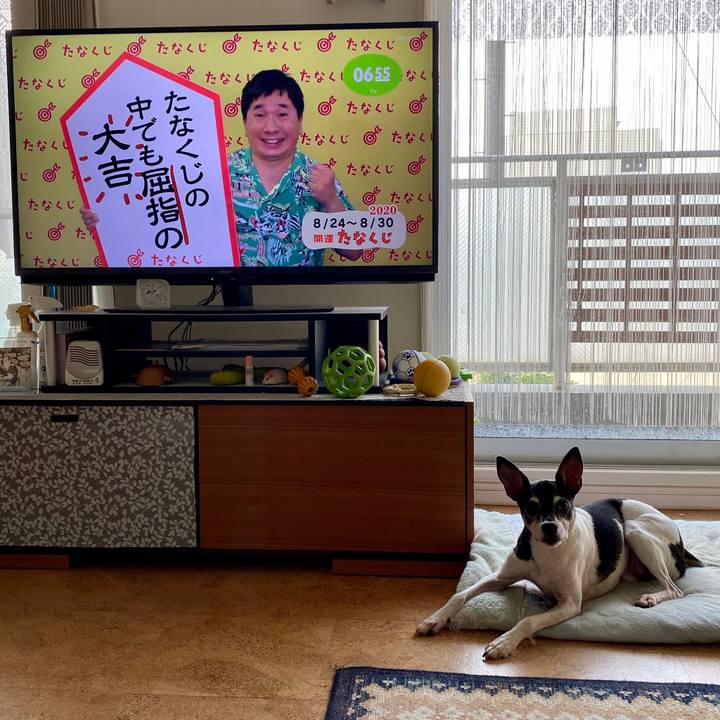 2991a51b b81e 4fc3 b38d f9dff99e71be 1598220472335