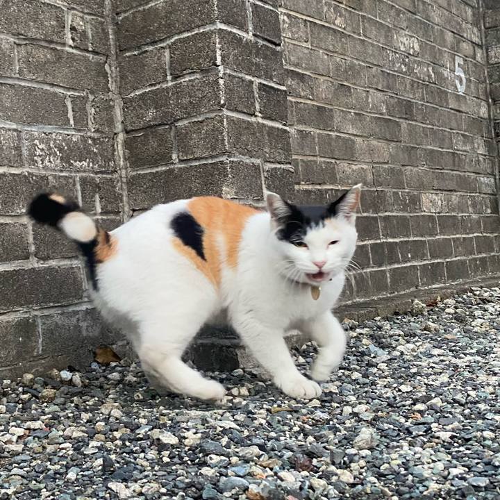 2991c273 de7d 4f55 888b d6de8e82675d 1637878222417