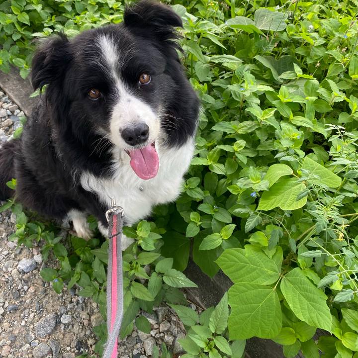 2991cecc 3f0b 42ff 830a 2665c4af316e 1626565881780