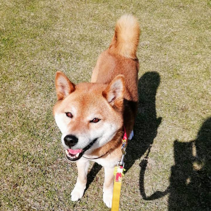 2991e5da 3d71 42da 84e9 9605ddf1d4ce 1587624696157