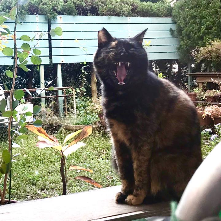 2991fe36 8b0a 4b4e b9dd f0a69de71d56 1510643979753