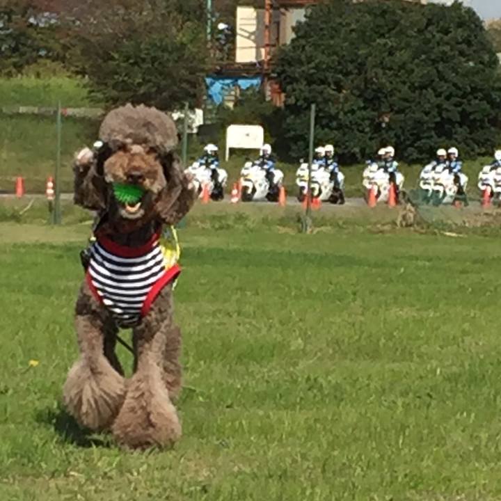 2992001d a2ca 4671 90fa a9619732493c 1509507108904