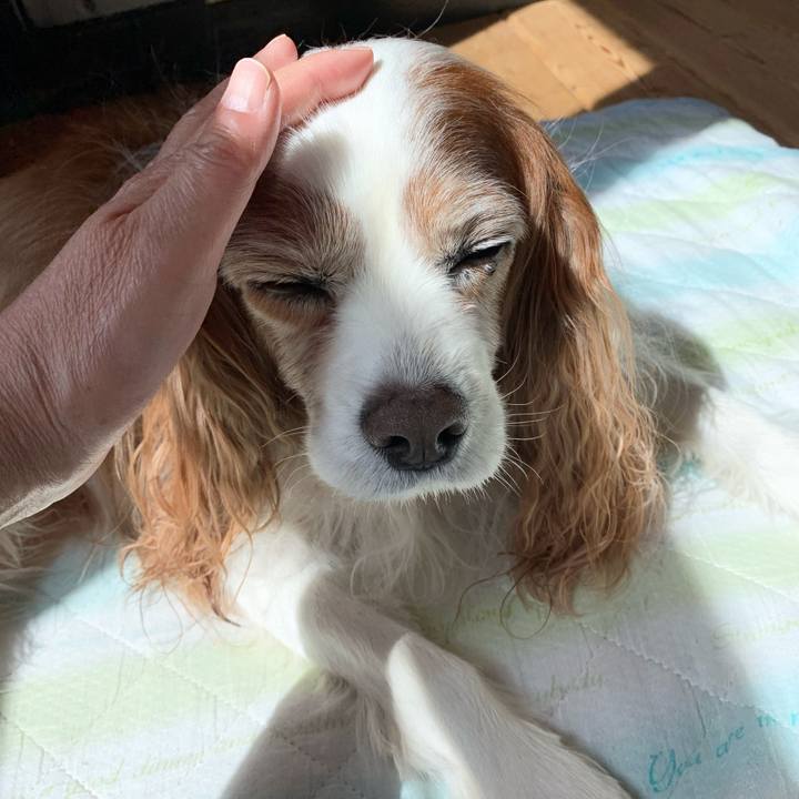 2992011c 1fad 470b 91b5 262bf5e518cc 1616983031504