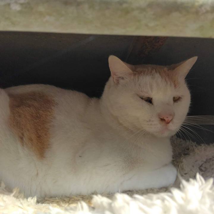 29921631 1b6e 4d31 ac97 d7fea2654b8a 1668324097637