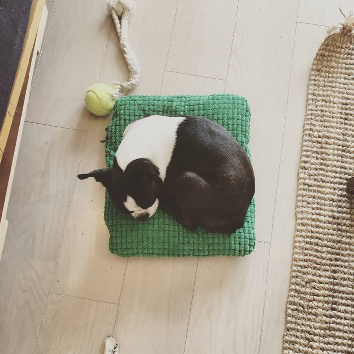 299229db e3a2 4e36 bbbe b668fdd0eb2c 1528863191027