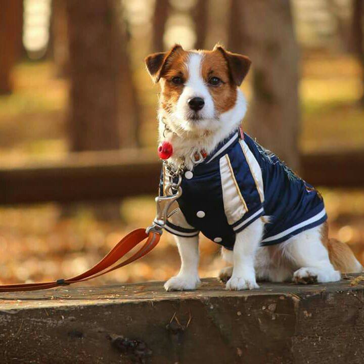 29923973 9462 429d 92c7 88078205af9d 1510181733436