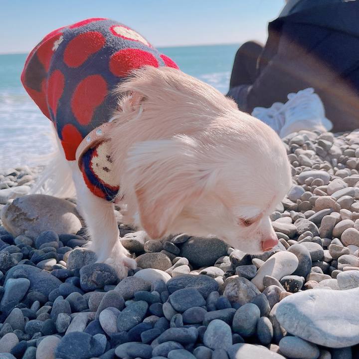 29924c4c ca66 4fd9 af36 448d8887f7ca 1673011446192