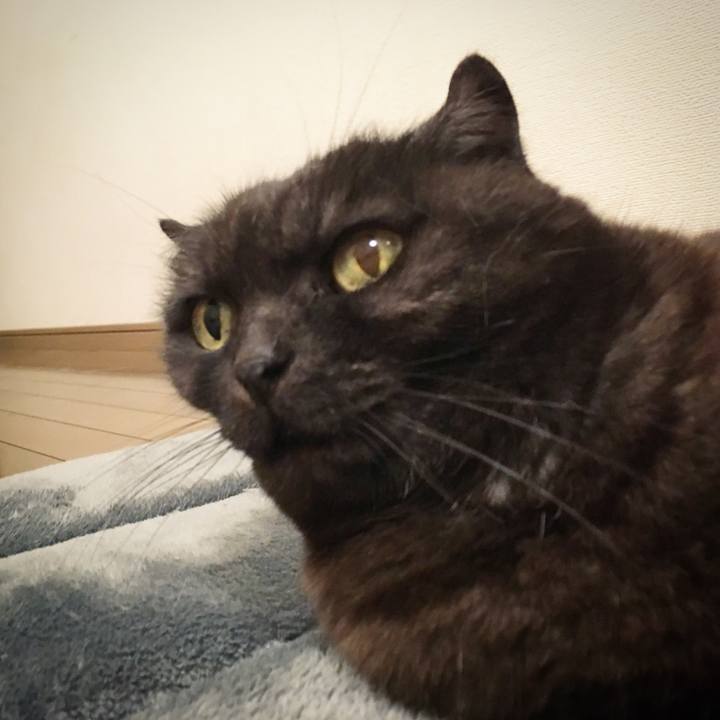 2992f15f 5d09 4680 b9c9 033c9d24be41 1555408811561