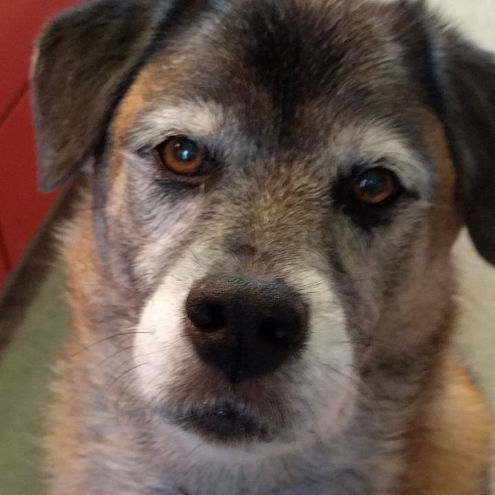 29931308 4be0 4920 ad82 d77bf8b65680 1538616627699