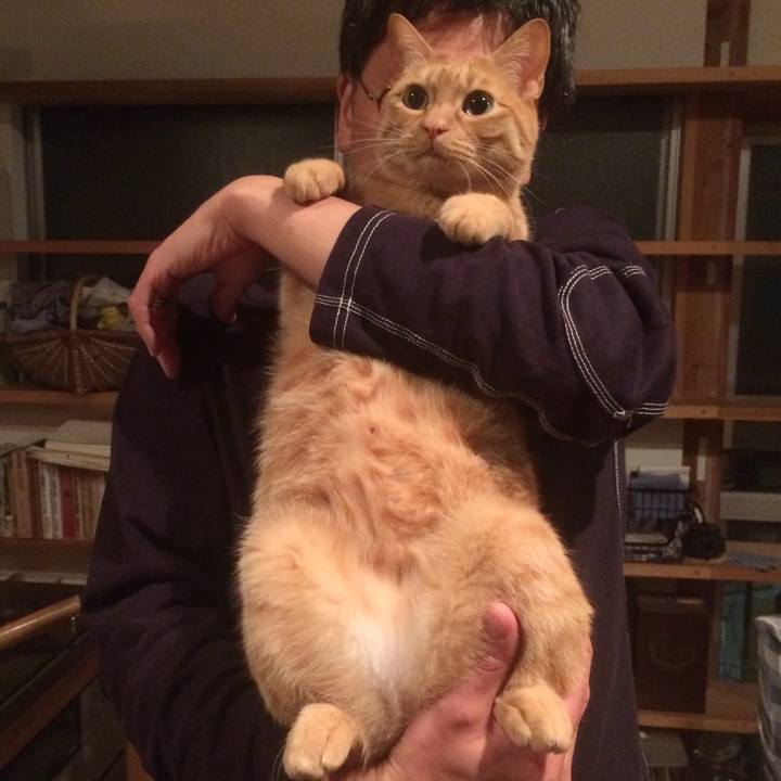 2993e302 2e48 4f9a ad87 a6045cdac158 1587127540104