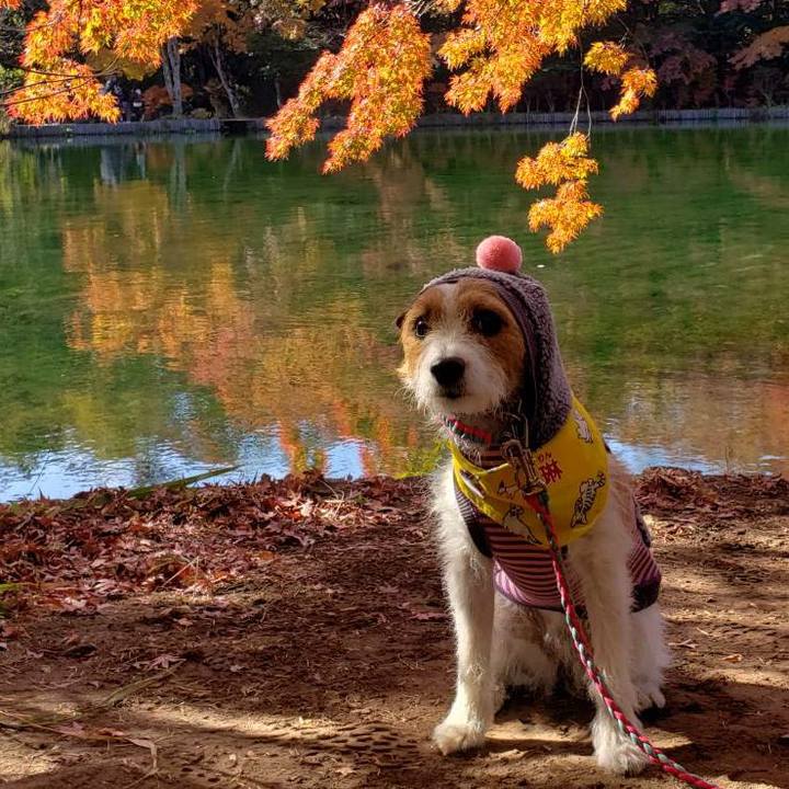 299409b7 b2b2 4e31 b620 6750a3d3379c 1573283745029