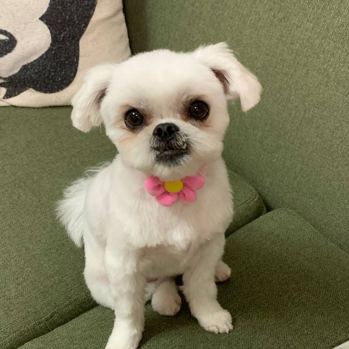 29940a75 0c8c 40df 9c1c db574840fec2 1680954688112