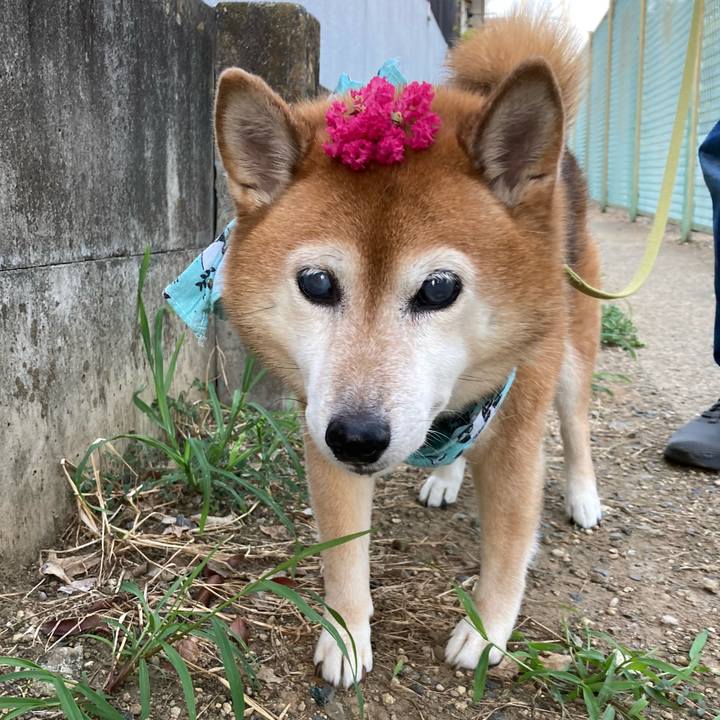 29943923 39ed 4af6 9a10 1c3e669ff1dd 1692525570870