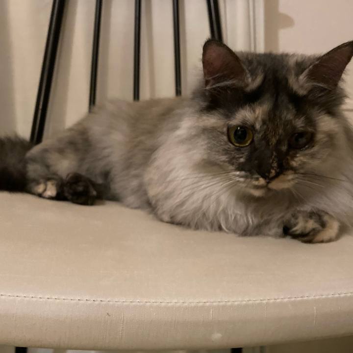 29945432 2757 4ead 97a3 454e08d8b182 1735905344340