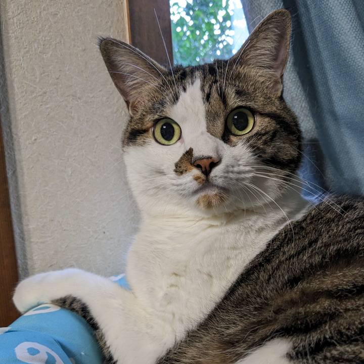 29946375 500c 44c8 8abf d91969dbd8e6 1693343727213