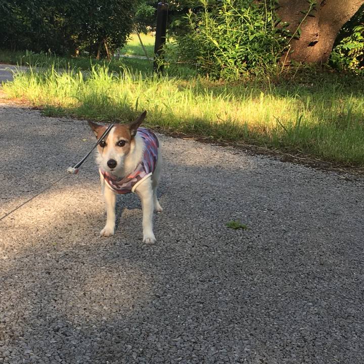 29948797 3a60 4513 8a38 8081b3d446fa 1590278980813