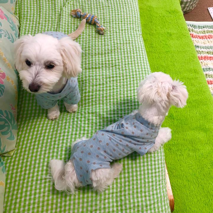 29948a0b d180 4167 b3a7 1bcf86af2fe9 1523174778718