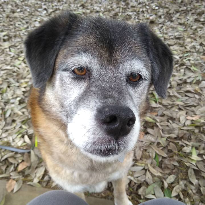 2994ad67 a1c5 48dd 9968 3e18e5458ec9 1557187643736