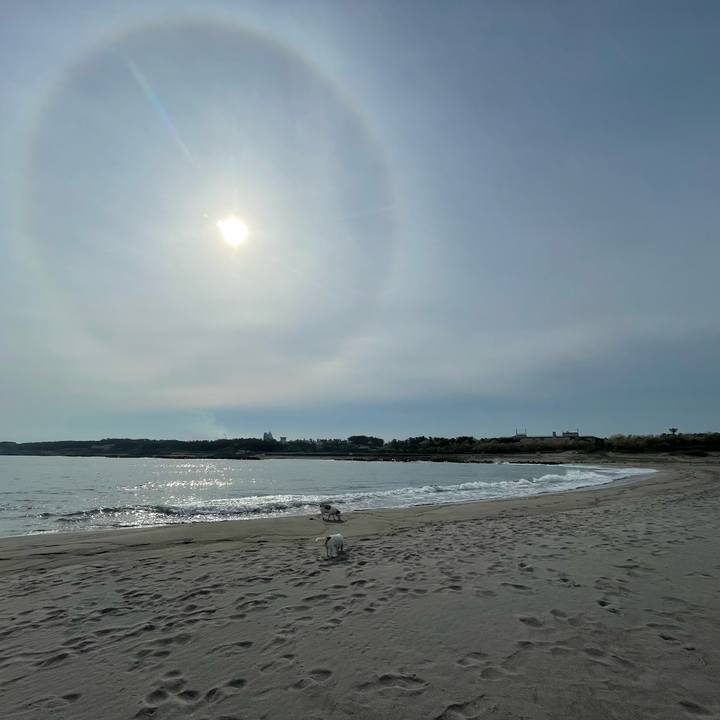 2994da8c 15a7 4003 8d30 263a5220a17b 1748301974174