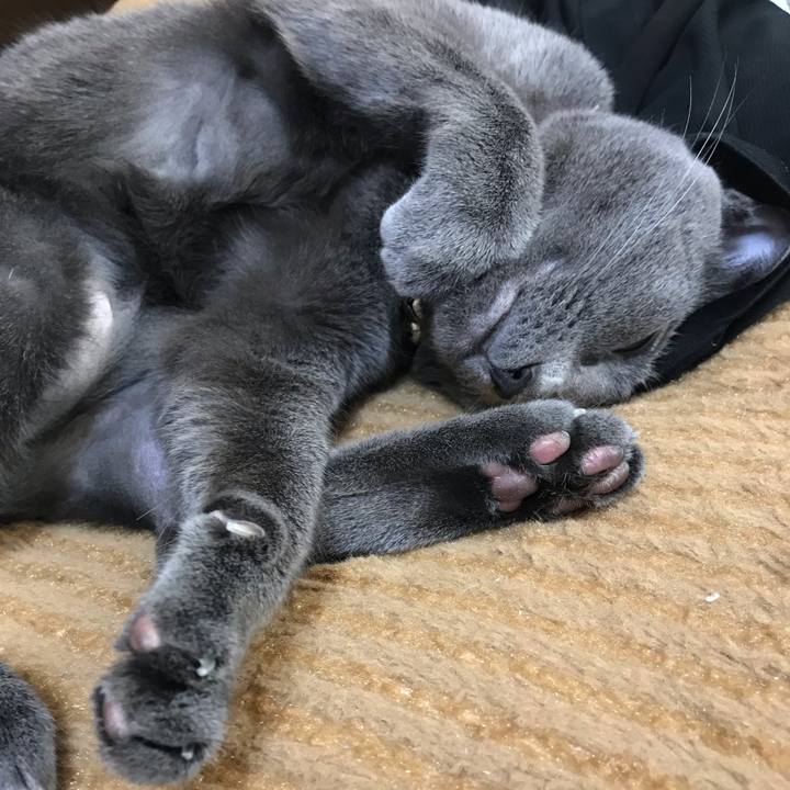 2994fe44 69f5 4243 9c5f 7f44f9133461 1538530182385