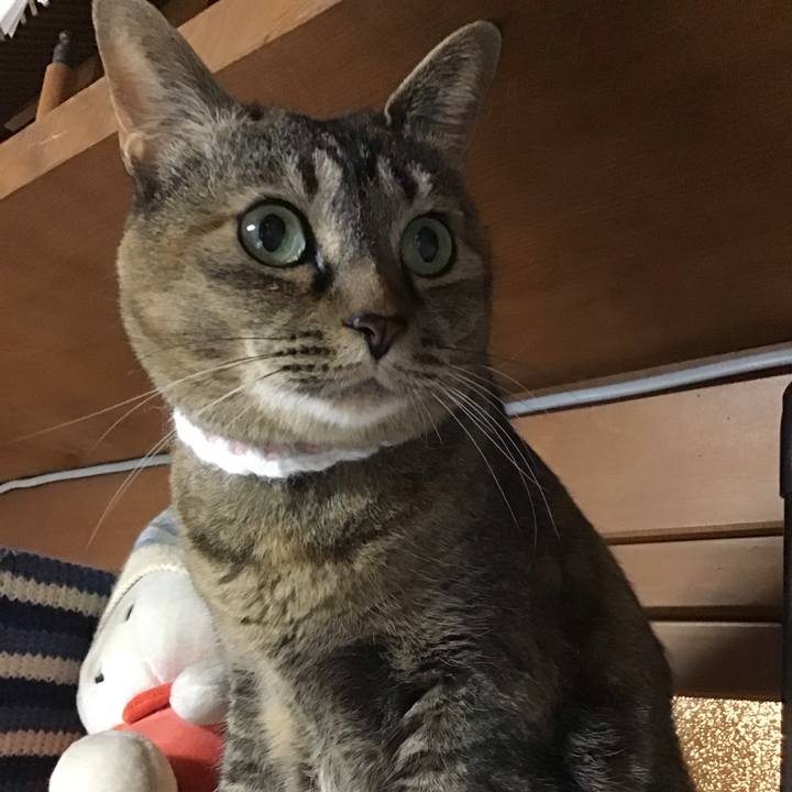 2995043b c7a7 4564 adcf fbbb4ba0bfc4 1746182901512