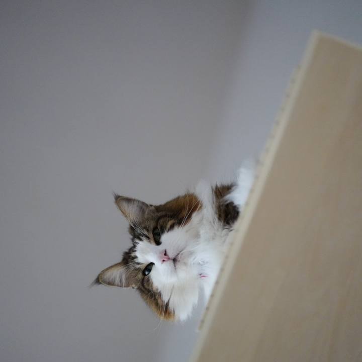 29951001 9d27 4298 bedb cf5976911c55 1701750568002