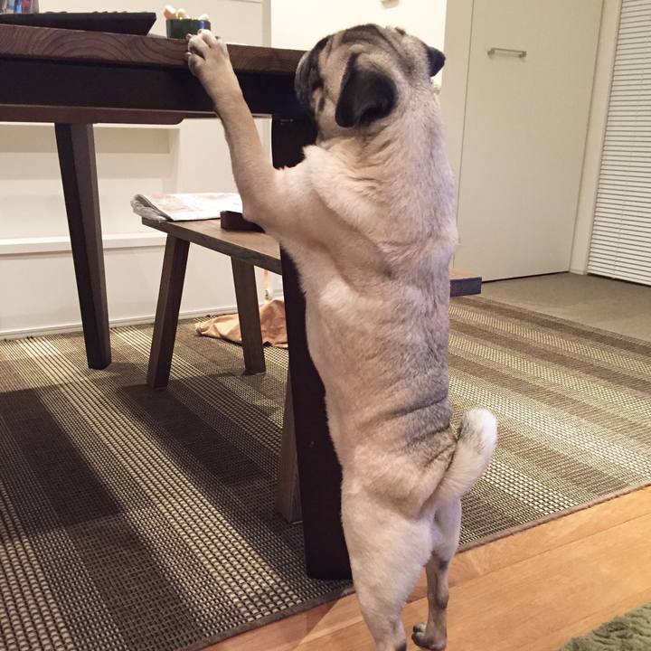 29952620 4232 4828 9ea7 166d60fce99c 1510757112527