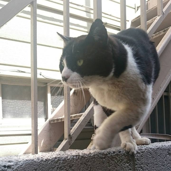 29953bc8 3581 4c68 a571 06dcd7e88cf4 1522549287746