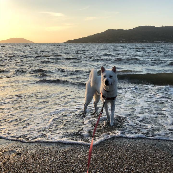 29957ae9 20f9 485e aeb4 1ce2793f4be6 1529153826935