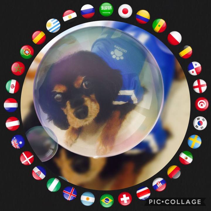 2995951e cd9f 4de9 b0ee abc42330a4cc 1549029165855