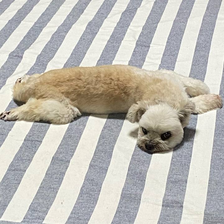 2995a277 c063 4e45 b66a 07607ff15e04 1688793941482