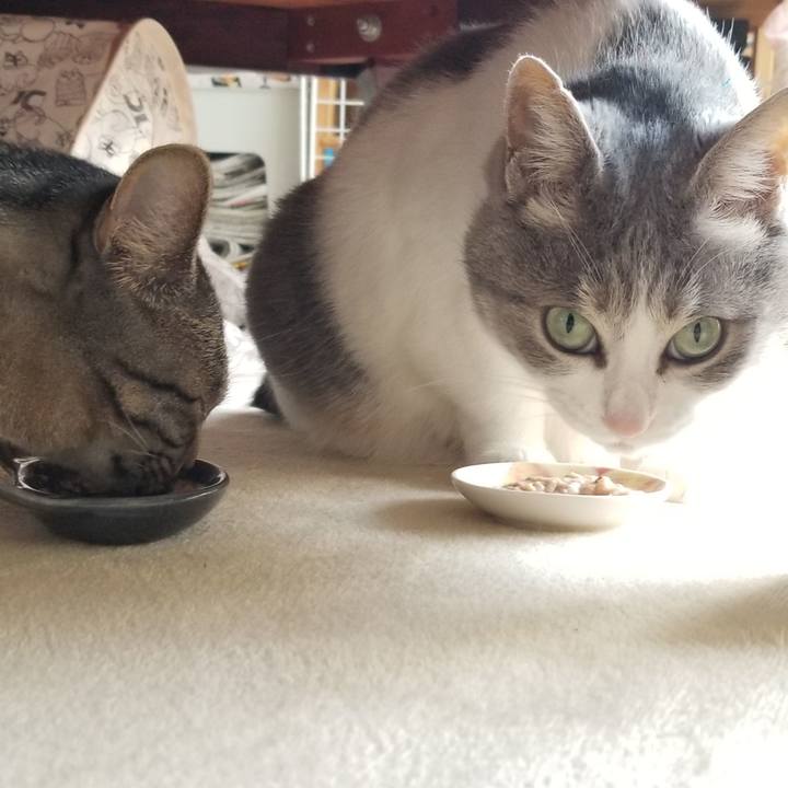 2995c567 83ee 4885 90f0 b67a71a5c4ea 1685189023869