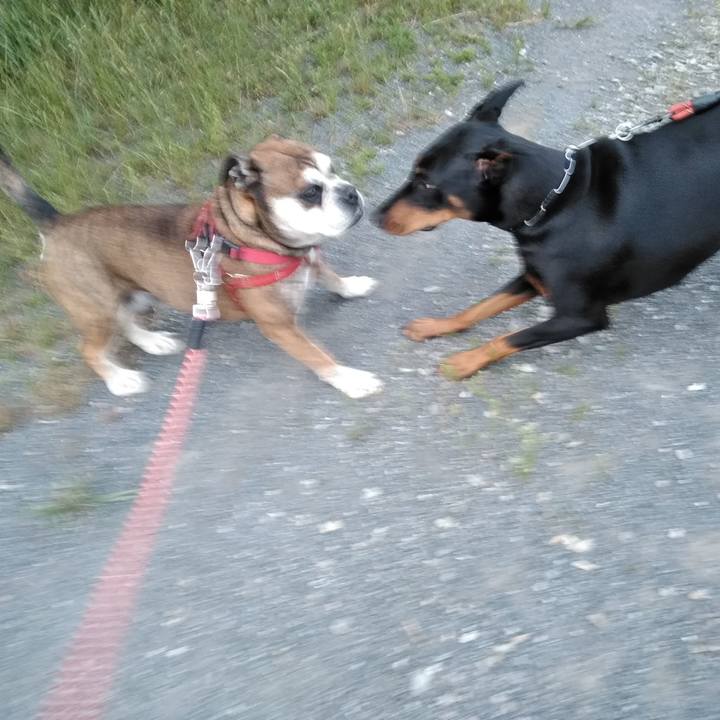 2995ea2d 33c9 4e43 95d5 9ab746e425ae 1559310146323