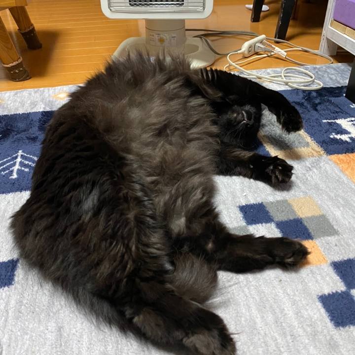 299635db 45aa 4b97 8b44 db14bc83864f 1604492102195